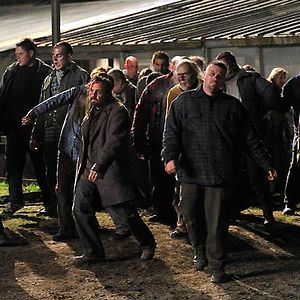 Bilder Survival of the Dead