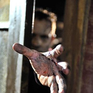 Bilder Survival of the Dead