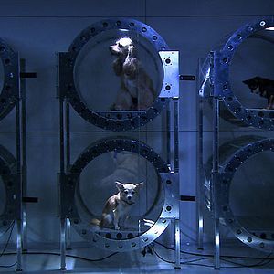 Bilder Nicolas Hulot