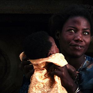 Bilder Jean-Albert Lièvre