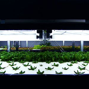 Bilder Nicolas Hulot