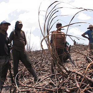 Bilder Philippe Diaz