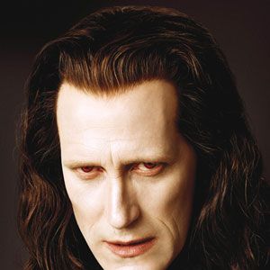 Bilder Christopher Heyerdahl