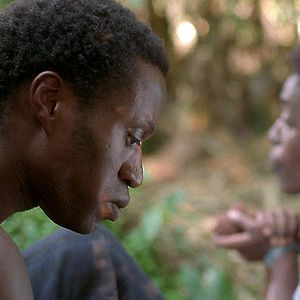 Bilder Philippe Van Leeuw