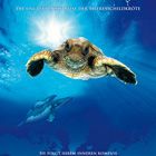 Bilder Tortuga - Die unglaubliche Reise der Meeresschildkröte