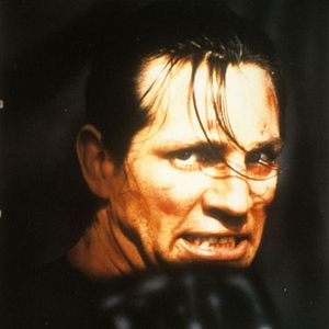 Bilder Karate Tiger IV - Best Of The Best