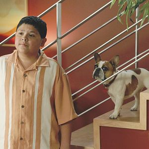 Bilder Rico Rodriguez