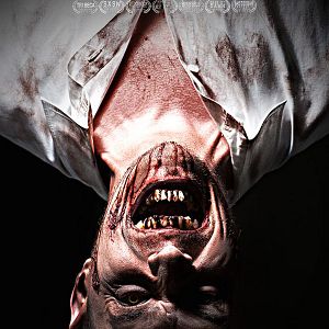 Bilder Mulberry Street