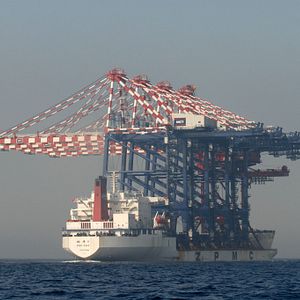 Bilder The Last Giants - Wenn das Meer stirbt