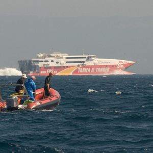 Bilder The Last Giants - Wenn das Meer stirbt