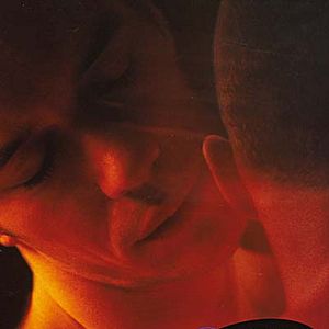 Bilder Queer as Folk (2000)