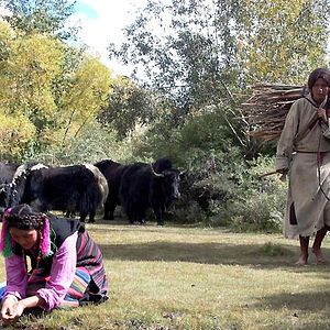 Bilder Milarepa - Der Weg zum Glück
