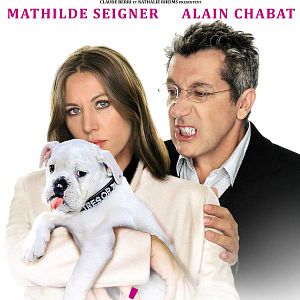 Bilder Der kleine Haustyrann