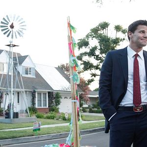 Bilder David Boreanaz