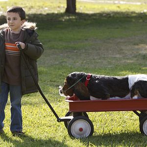 Bilder Atticus Shaffer