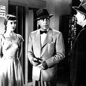 Bilder Bretaigne Windust