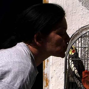 Bilder Denis Gheerbrant