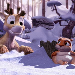 Bilder Niko - Ein Rentier hebt ab