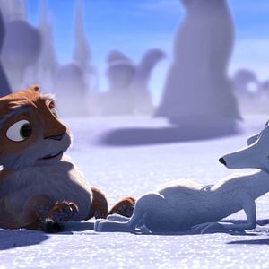 Bilder Niko - Ein Rentier hebt ab