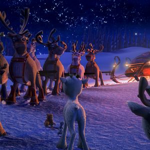 Bilder Niko - Ein Rentier hebt ab