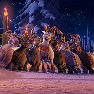 Bilder Niko - Ein Rentier hebt ab