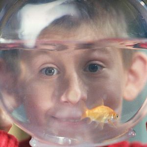 Bilder Malcolm mittendrin