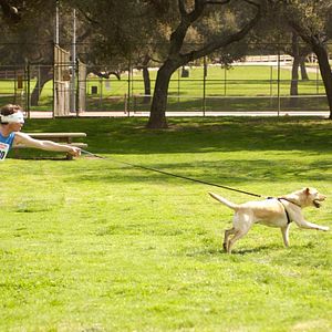 Bilder Malcolm mittendrin