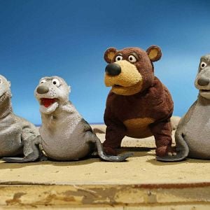 Bilder Janis Cimermanis