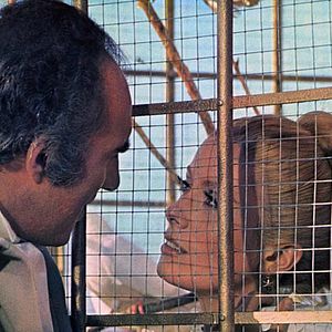 Bilder Benjamin - Aus dem Tagebuch einer männlichen Jungfrau