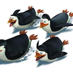 Bilder Die Pinguine aus Madagascar