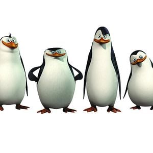Bilder Die Pinguine aus Madagascar