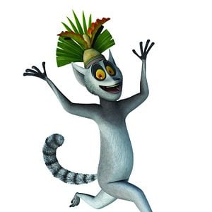 Bilder Die Pinguine aus Madagascar