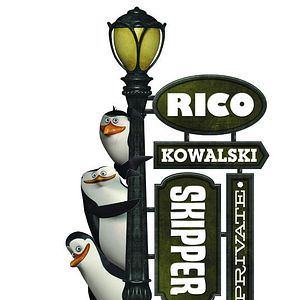 Bilder Die Pinguine aus Madagascar