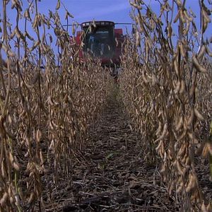 Bilder Robert Kenner