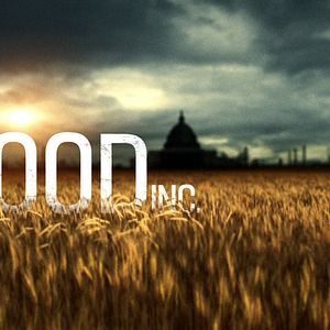 Bilder Robert Kenner