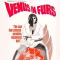 Bilder Venus in Furs