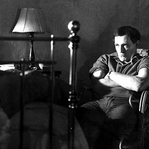 Bilder Lockender Lorbeer