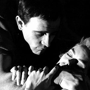 Bilder Lockender Lorbeer