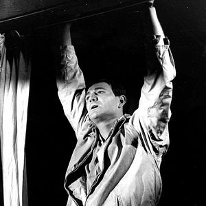 Bilder Lockender Lorbeer