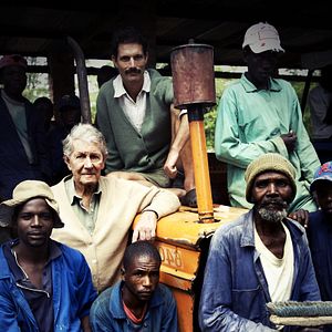 Bilder Andrew Thompson