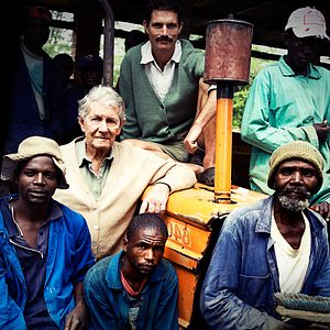 Bilder Andrew Thompson