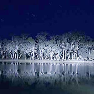 Bilder Joel Anderson (II)