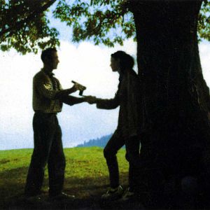 Bilder Baum der Hoffnung