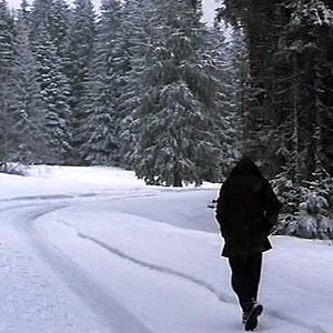 Bilder Jean-Paul Guyon