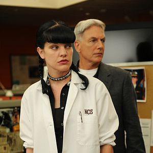 Bilder Pauley Perrette