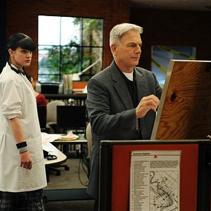 Bilder Pauley Perrette