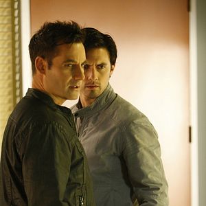 Bilder Milo Ventimiglia