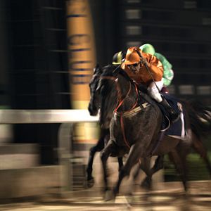 Bilder Charles de Meaux