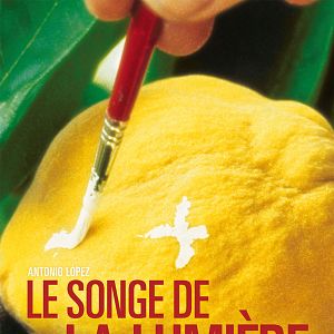 Bilder Die Vergänglichkeit des Lichts