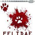 Bilder Felidae